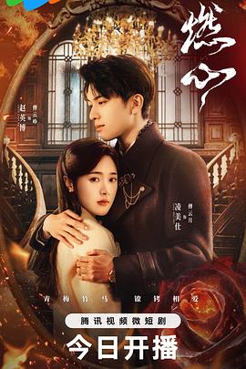 智者无敌全集